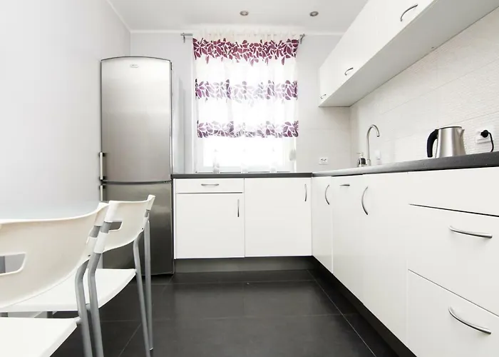 Blue River - Mosiezna Apartment Breslau